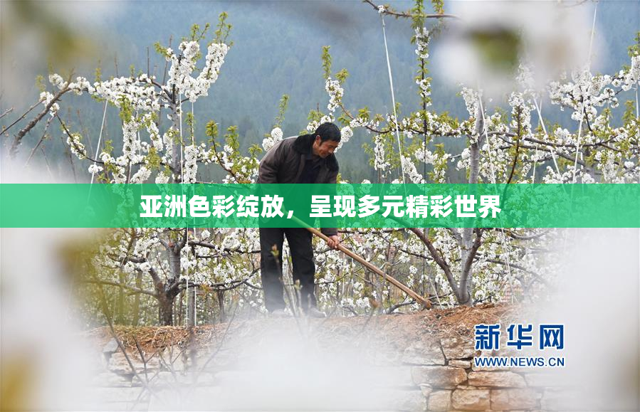 亚洲色彩绽放，呈现多元精彩世界