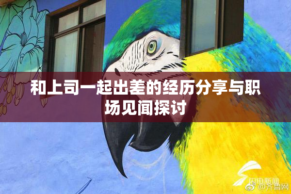 和上司一起出差的经历分享与职场见闻探讨
