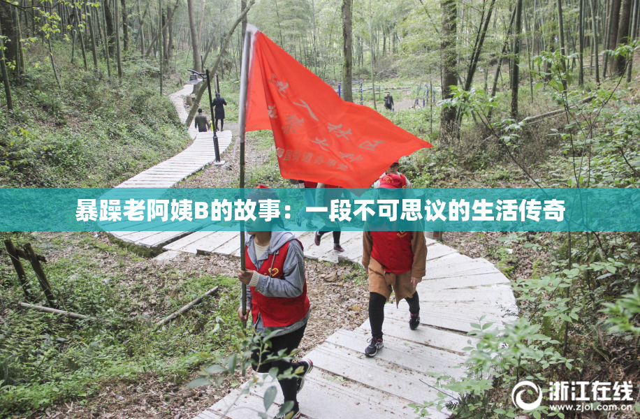 暴躁老阿姨B的故事：一段不可思议的生活传奇