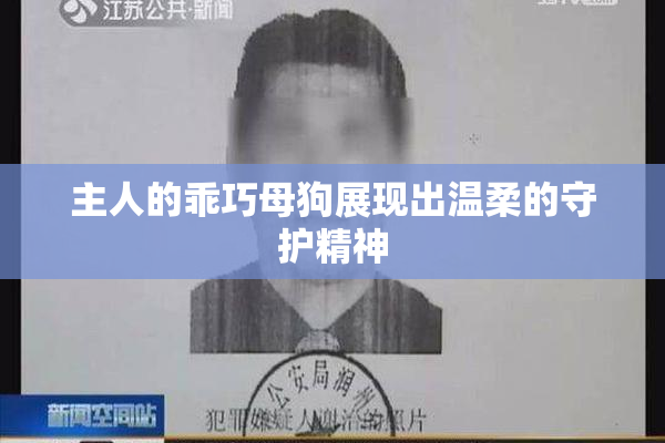 主人的乖巧母狗展现出温柔的守护精神