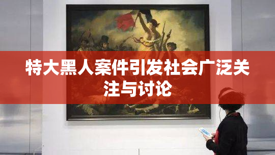 特大黑人案件引发社会广泛关注与讨论