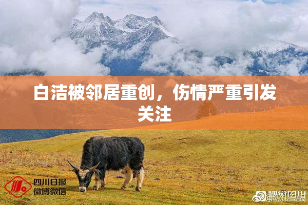 白洁被邻居重创，伤情严重引发关注