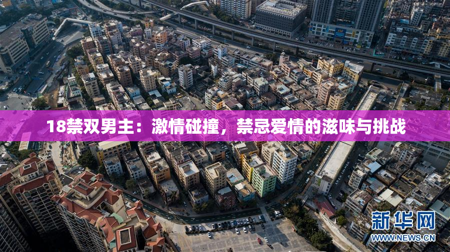18禁双男主：激情碰撞，禁忌爱情的滋味与挑战