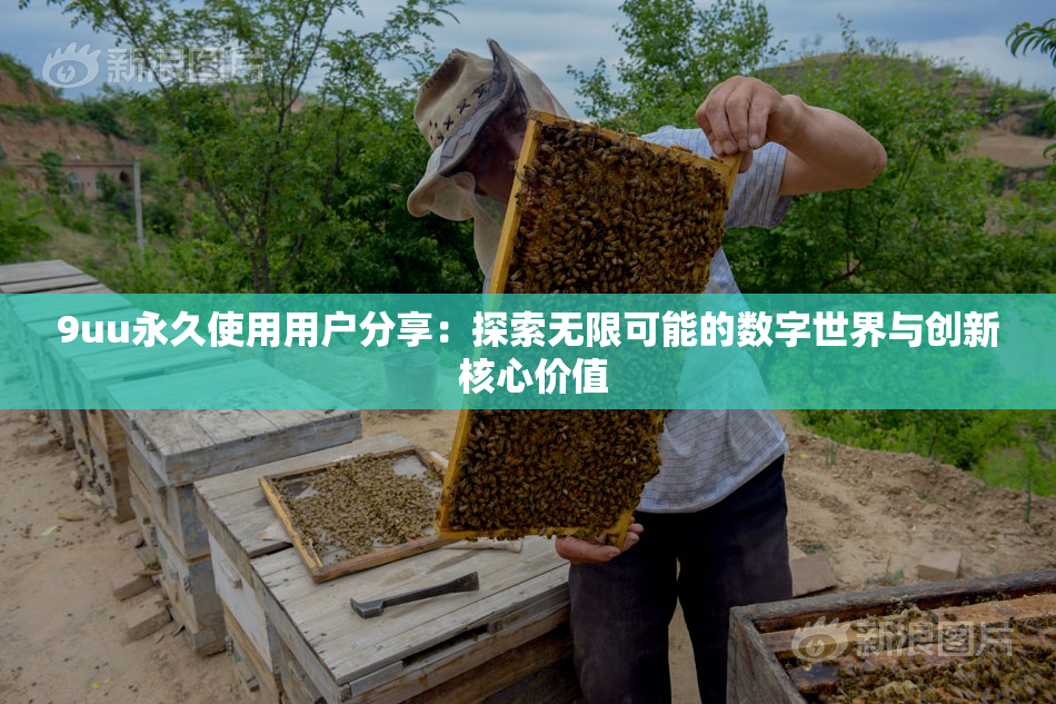 9uu永久使用用户分享：探索无限可能的数字世界与创新 核心价值