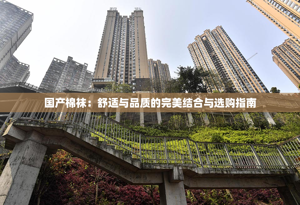 国产棉袜：舒适与品质的完美结合与选购指南