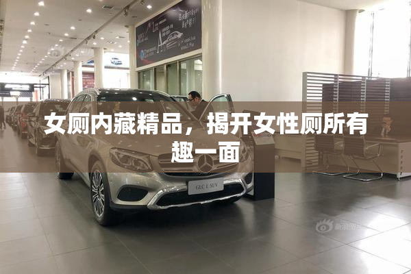 女厕内藏精品，揭开女性厕所有趣一面