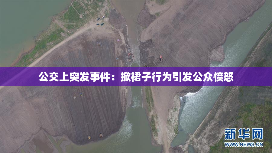 公交上突发事件：掀裙子行为引发公众愤怒