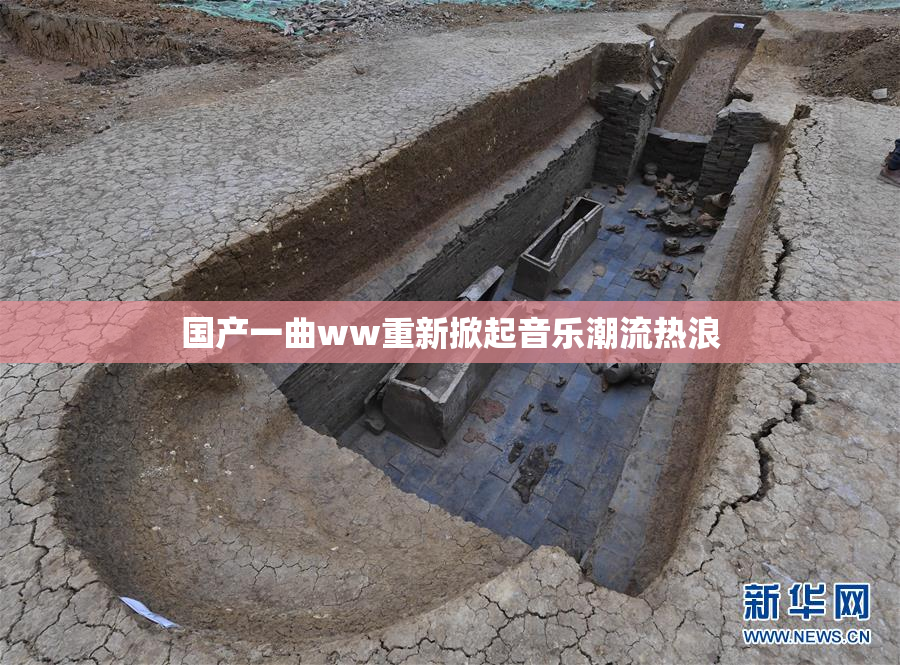 国产一曲ww重新掀起音乐潮流热浪