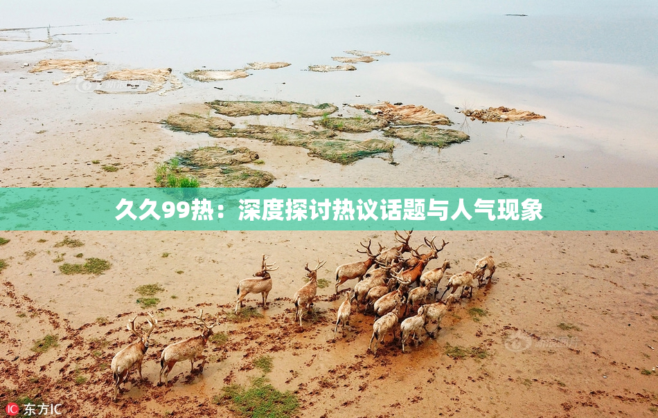 久久99热：深度探讨热议话题与人气现象