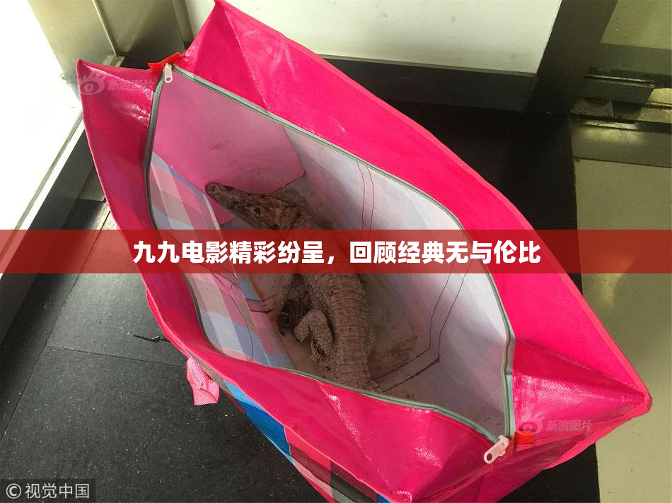 九九电影精彩纷呈，回顾经典无与伦比