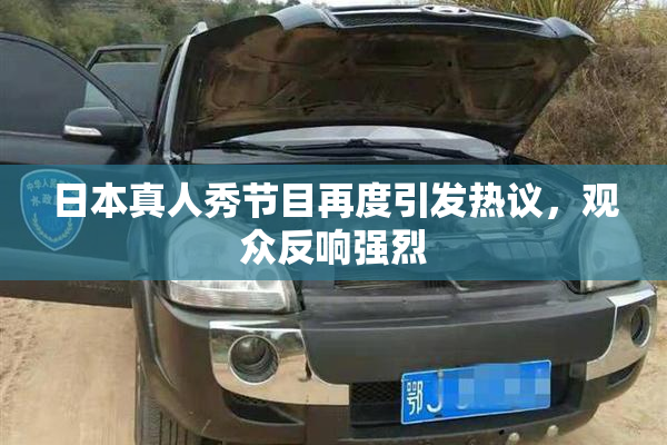 日本真人秀节目再度引发热议，观众反响强烈