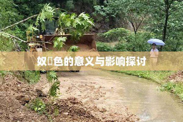 奴隷色的意义与影响探讨