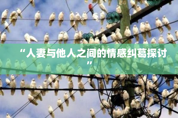 “人妻与他人之间的情感纠葛探讨”
