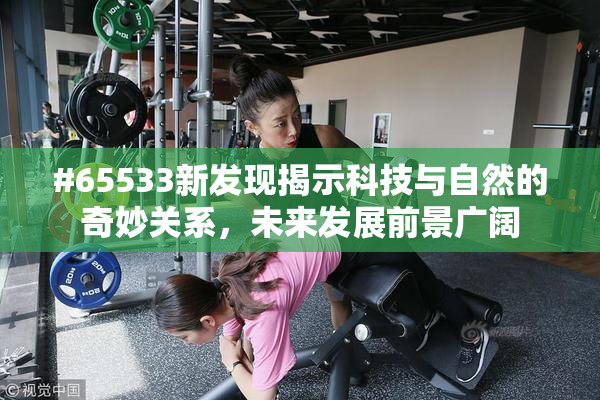 #65533新发现揭示科技与自然的奇妙关系，未来发展前景广阔