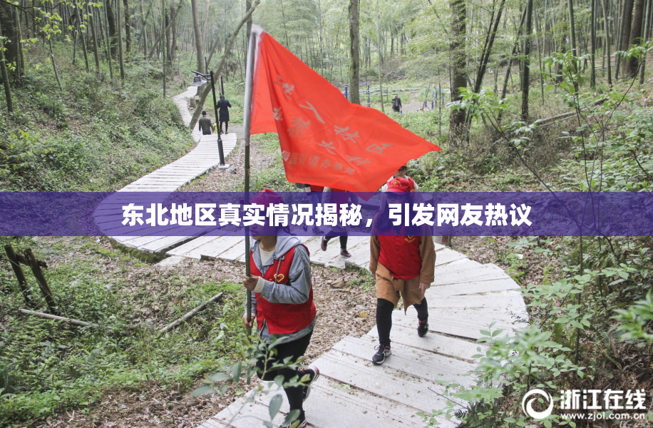 东北地区真实情况揭秘，引发网友热议