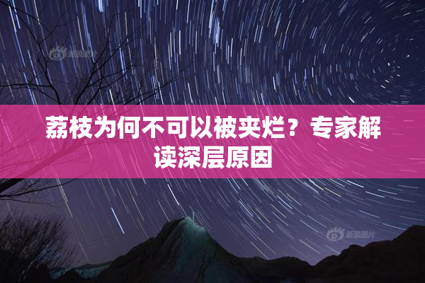 荔枝为何不可以被夹烂？专家解读深层原因