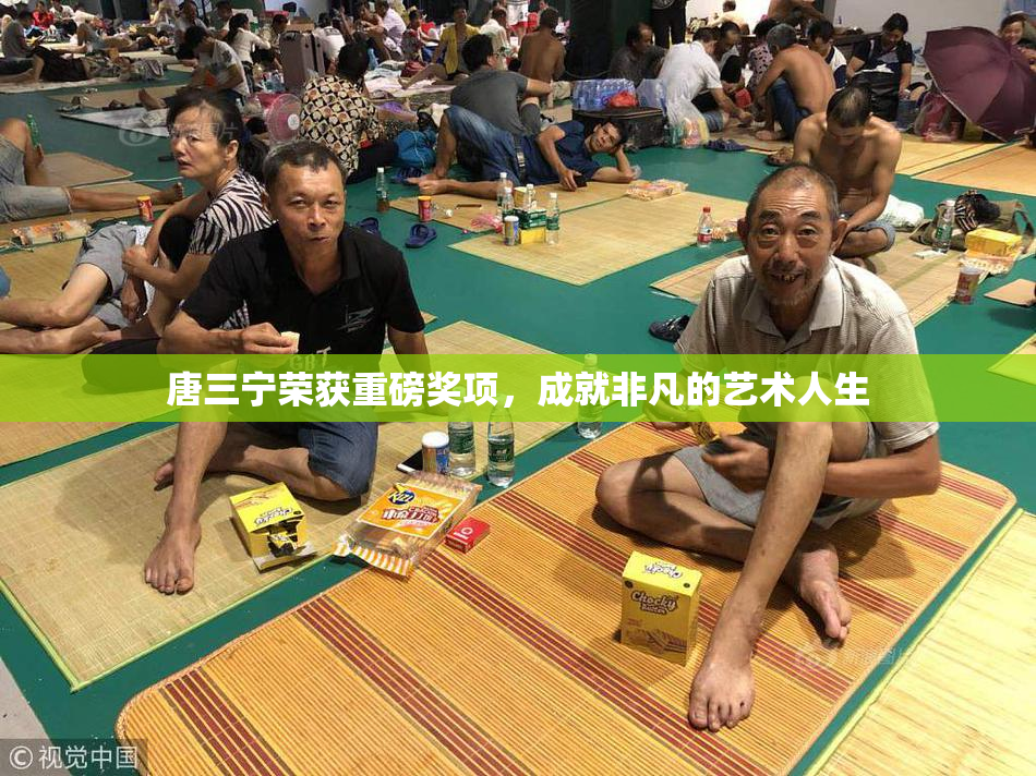 唐三宁荣获重磅奖项，成就非凡的艺术人生