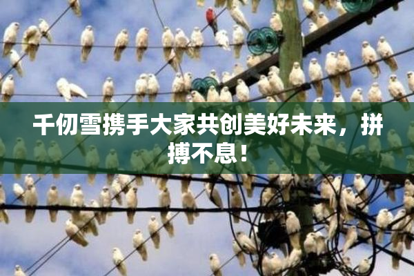 千仞雪携手大家共创美好未来，拼搏不息！