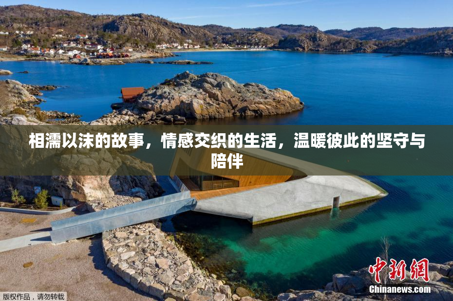 相濡以沫的故事，情感交织的生活，温暖彼此的坚守与陪伴