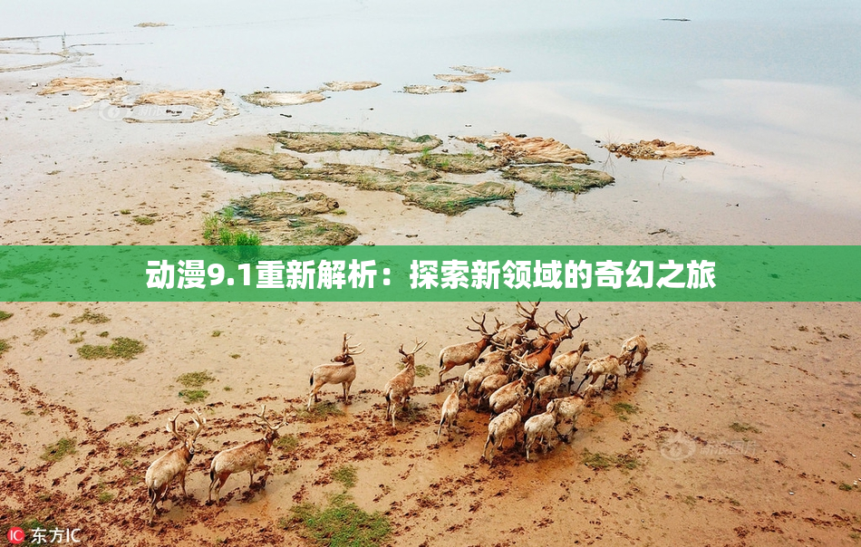动漫9.1重新解析：探索新领域的奇幻之旅