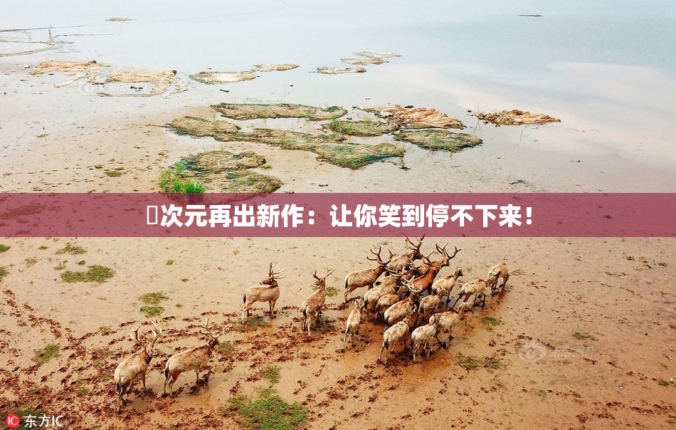 囧次元再出新作：让你笑到停不下来！