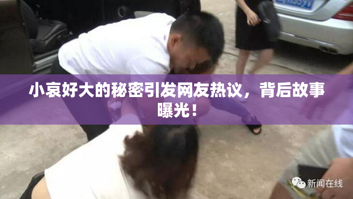 小哀好大的秘密引发网友热议，背后故事曝光！