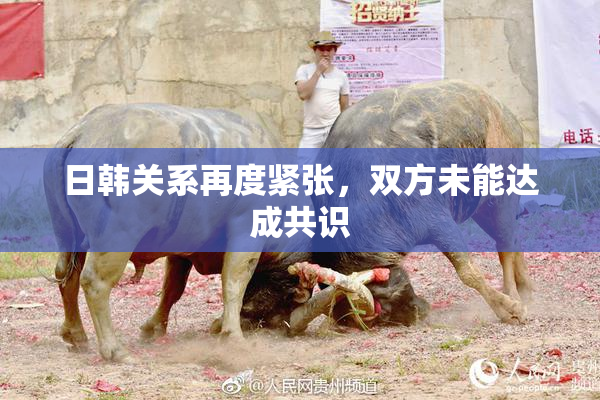 日韩关系再度紧张，双方未能达成共识
