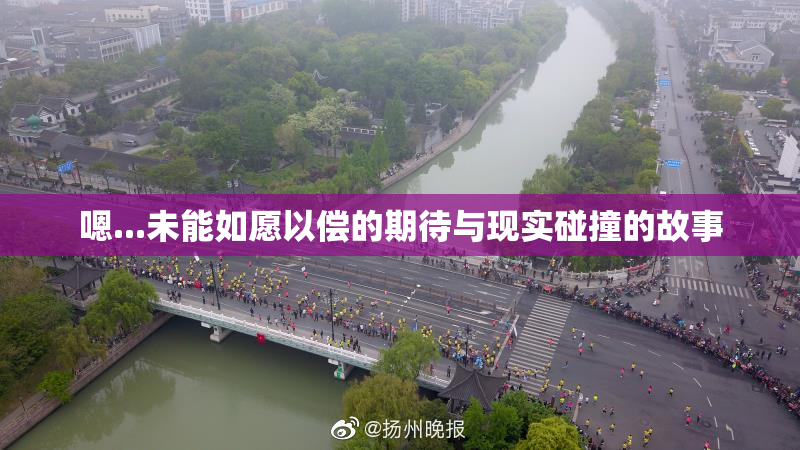 嗯...未能如愿以偿的期待与现实碰撞的故事