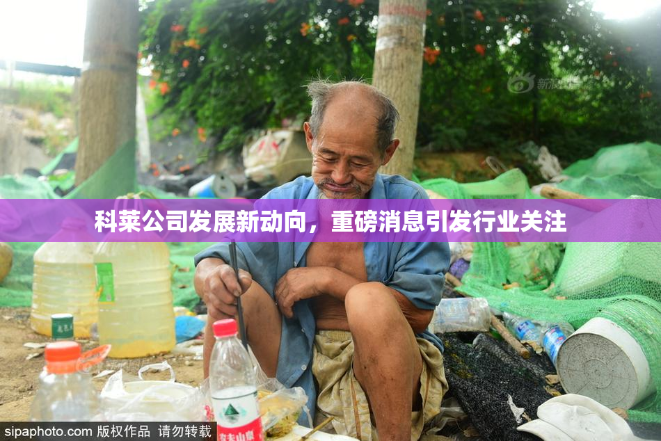 科莱公司发展新动向，重磅消息引发行业关注