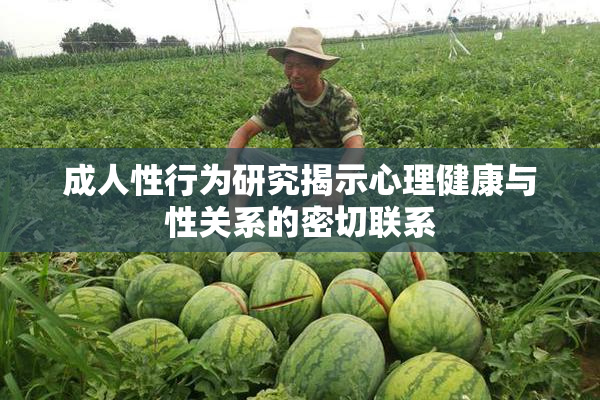成人性行为研究揭示心理健康与性关系的密切联系