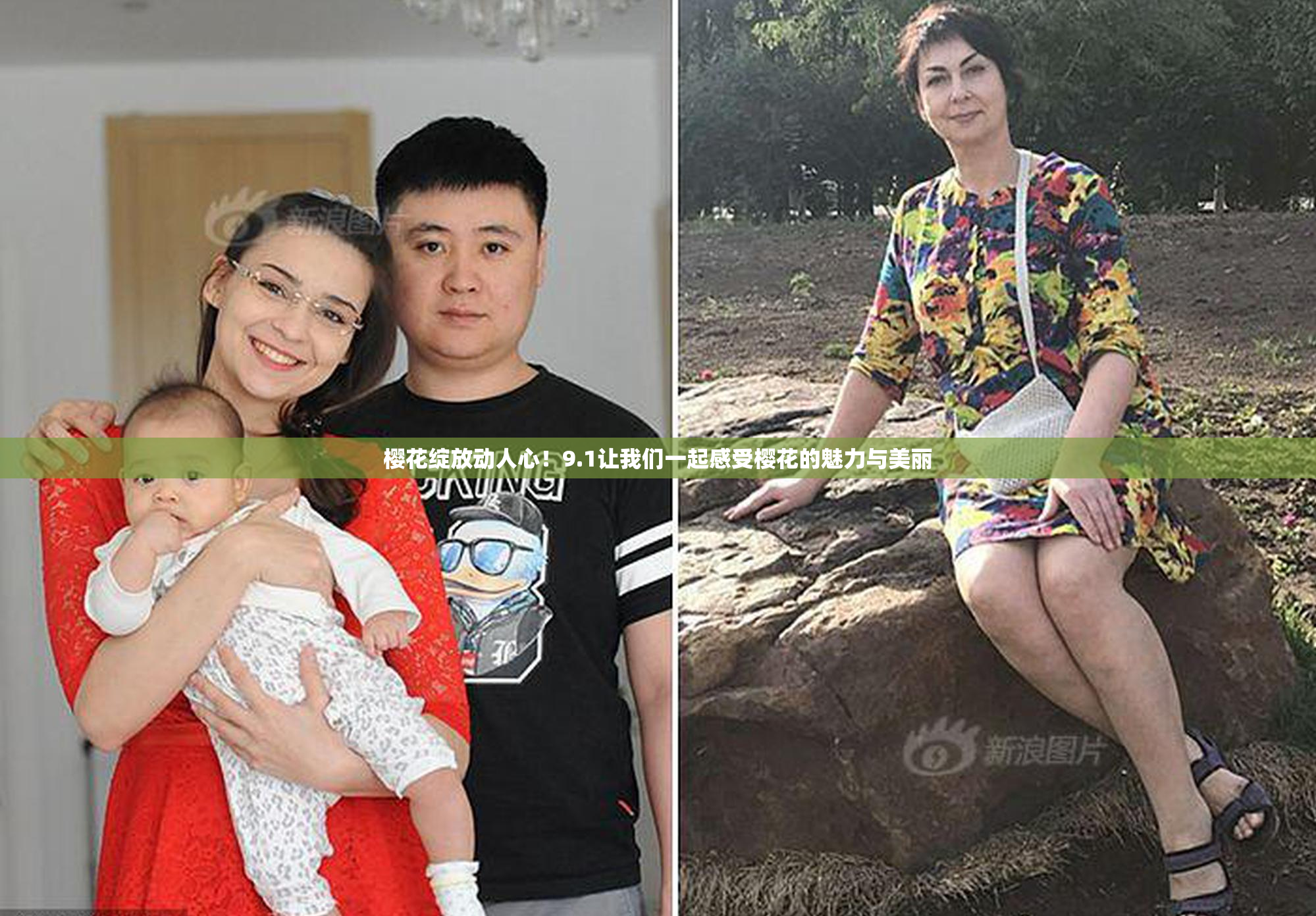 樱花绽放动人心！9.1让我们一起感受樱花的魅力与美丽