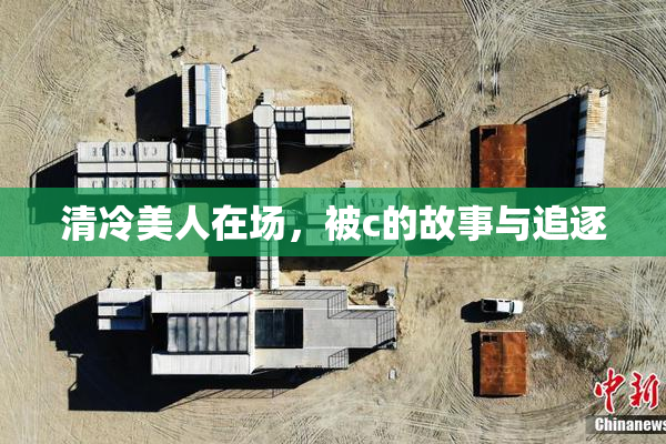 清冷美人在场，被c的故事与追逐