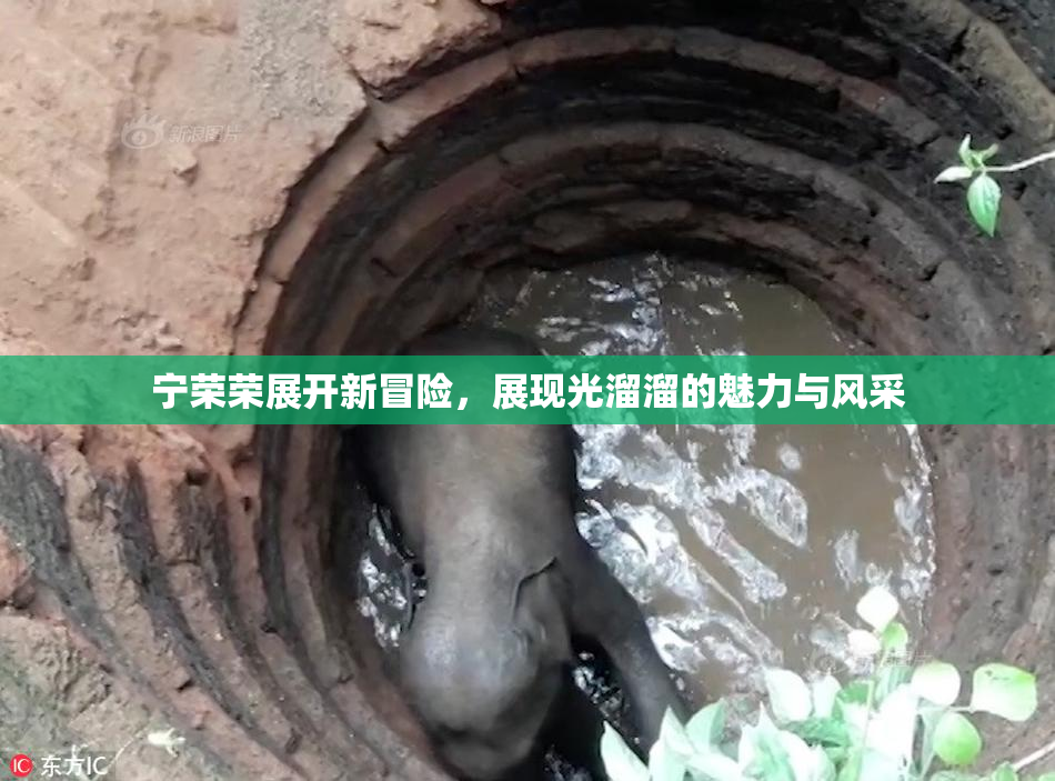 宁荣荣展开新冒险，展现光溜溜的魅力与风采