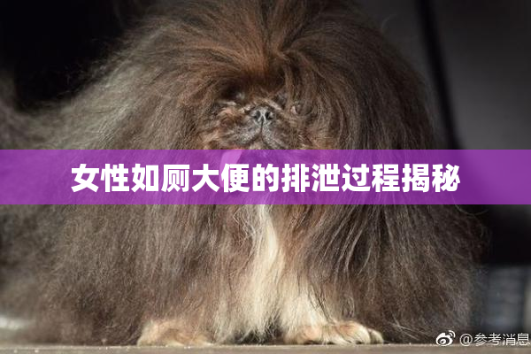 女性如厕大便的排泄过程揭秘