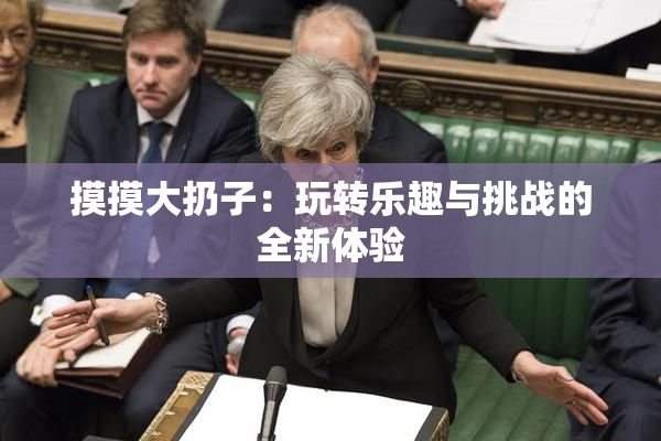 摸摸大扔子：玩转乐趣与挑战的全新体验