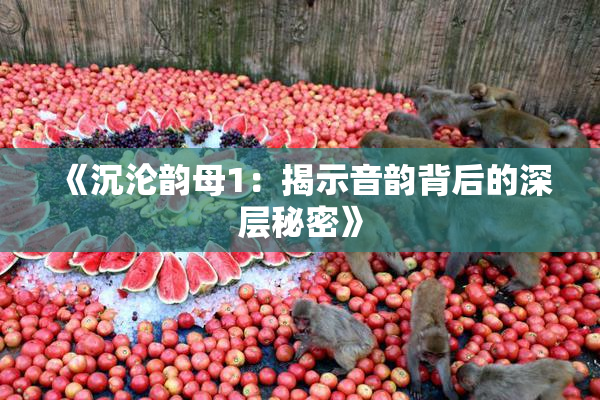 《沉沦韵母1：揭示音韵背后的深层秘密》