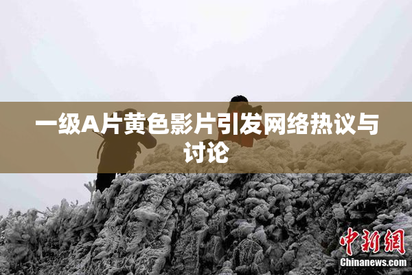 一级A片黄色影片引发网络热议与讨论