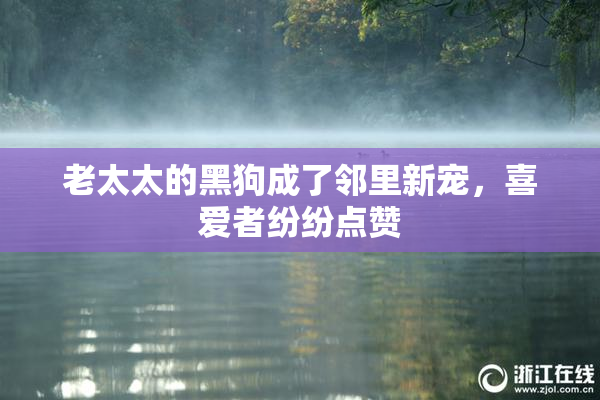 老太太的黑狗成了邻里新宠，喜爱者纷纷点赞