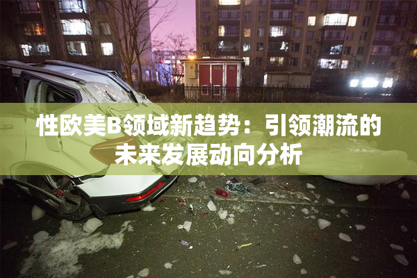 性欧美B领域新趋势：引领潮流的未来发展动向分析