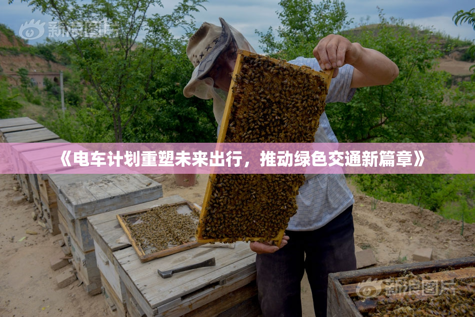 《电车计划重塑未来出行，推动绿色交通新篇章》