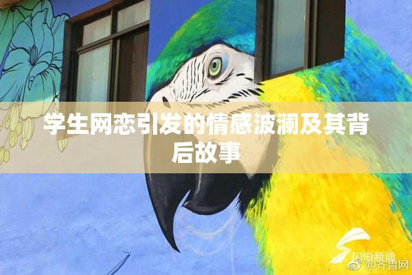 学生网恋引发的情感波澜及其背后故事