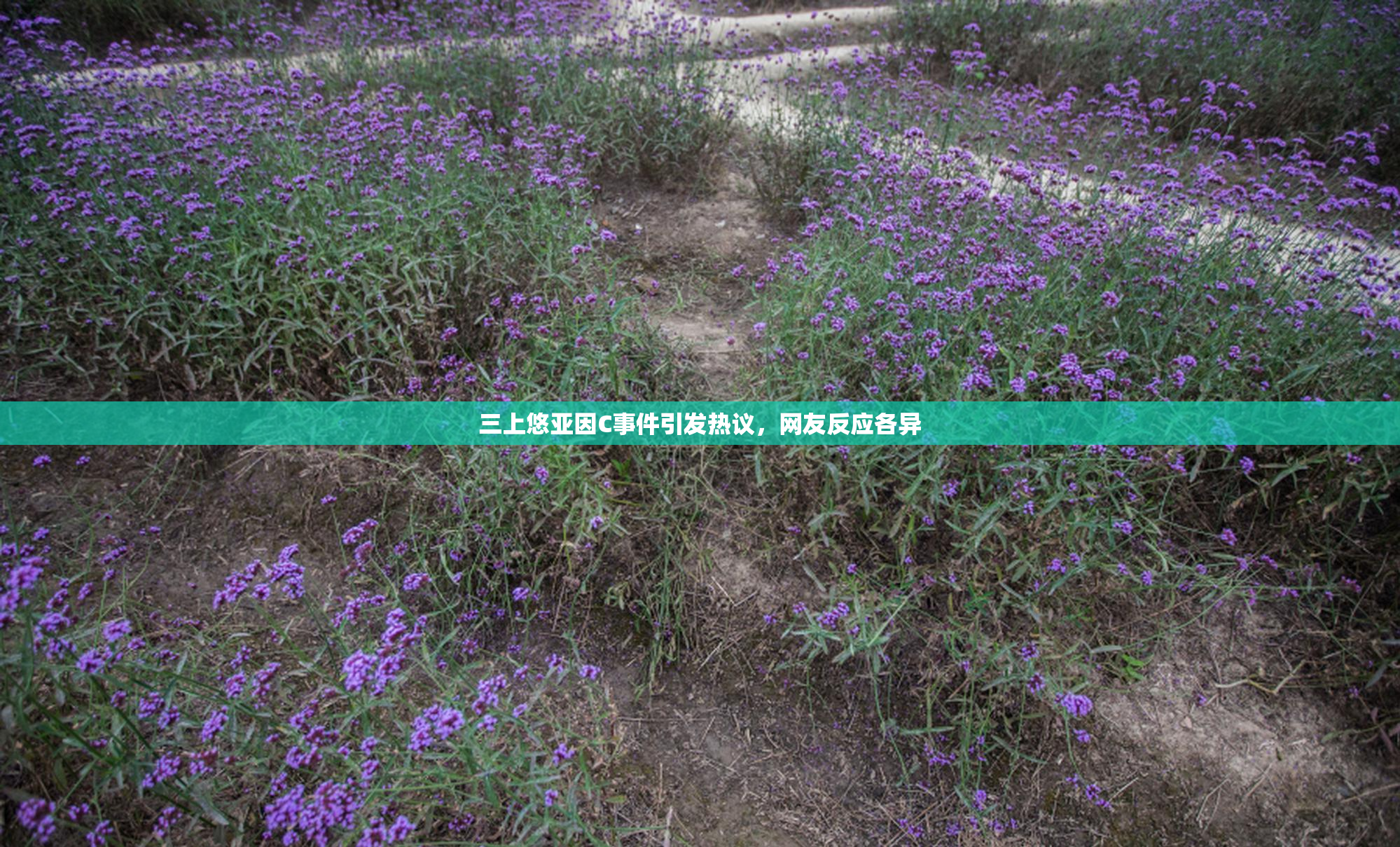 三上悠亚因C事件引发热议，网友反应各异