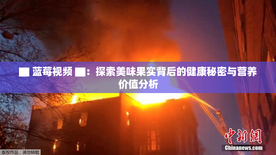 ▇ 蓝莓视频 ▇：探索美味果实背后的健康秘密与营养价值分析
