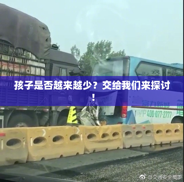 孩子是否越来越少？交给我们来探讨！