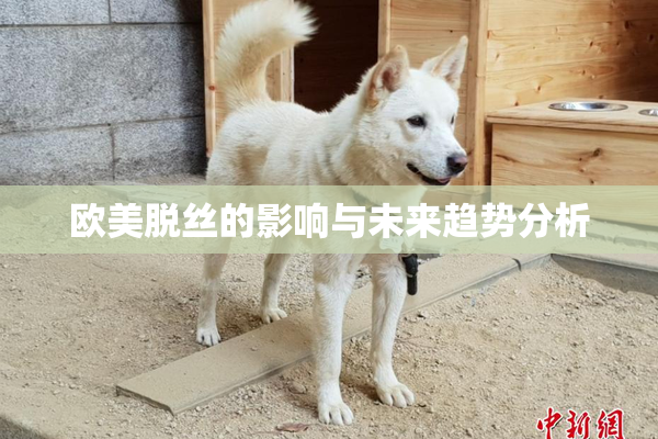 欧美脱丝的影响与未来趋势分析