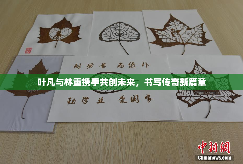 叶凡与林重携手共创未来，书写传奇新篇章