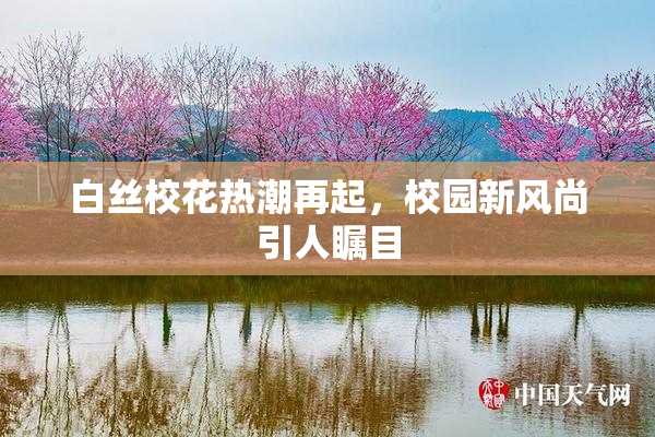 白丝校花热潮再起，校园新风尚引人瞩目
