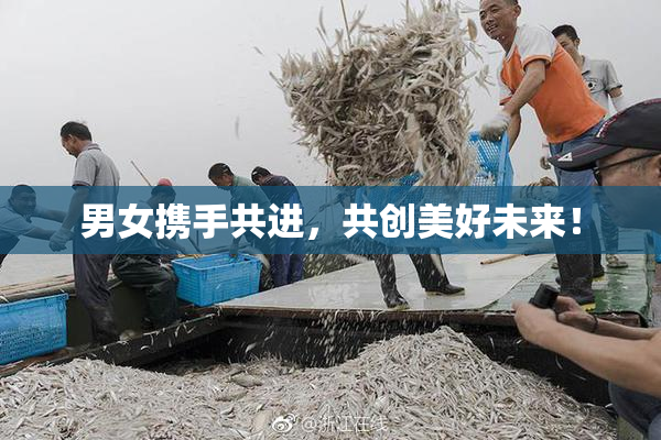 男女携手共进，共创美好未来！