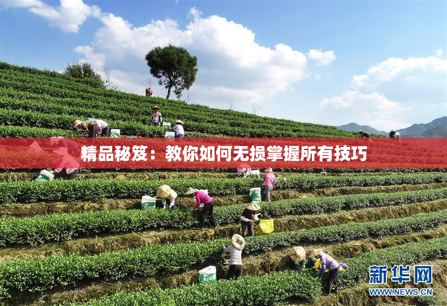 精品秘笈：教你如何无损掌握所有技巧