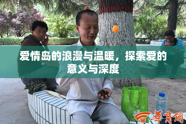 爱情岛的浪漫与温暖，探索爱的意义与深度